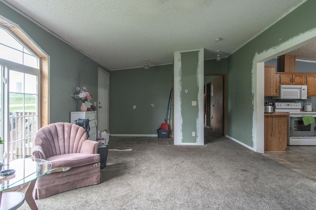 6592 55th Ave, Swanville Twp, MN 56314 - photo 7