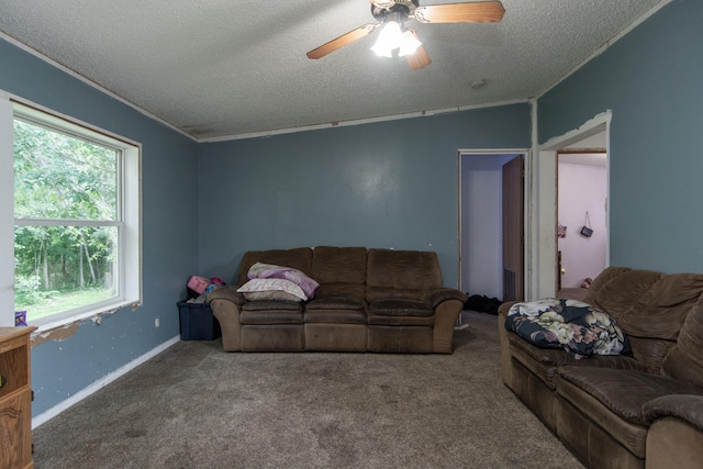 6592 55th Ave, Swanville Twp, MN 56314 - photo 15