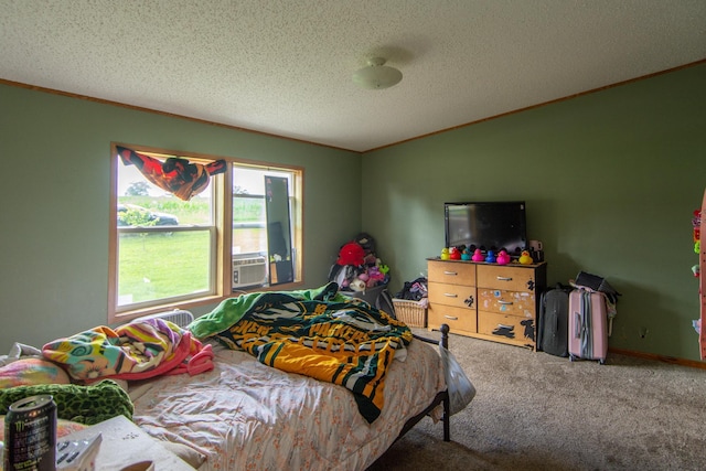 6592 55th Ave, Swanville Twp, MN 56314 - photo 16