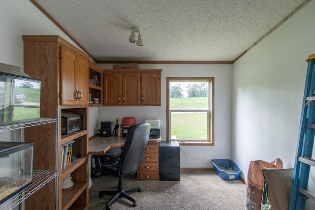 6592 55th Ave, Swanville Twp, MN 56314 - photo 26