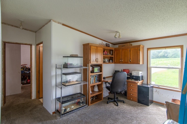 6592 55th Ave, Swanville Twp, MN 56314 - photo 27