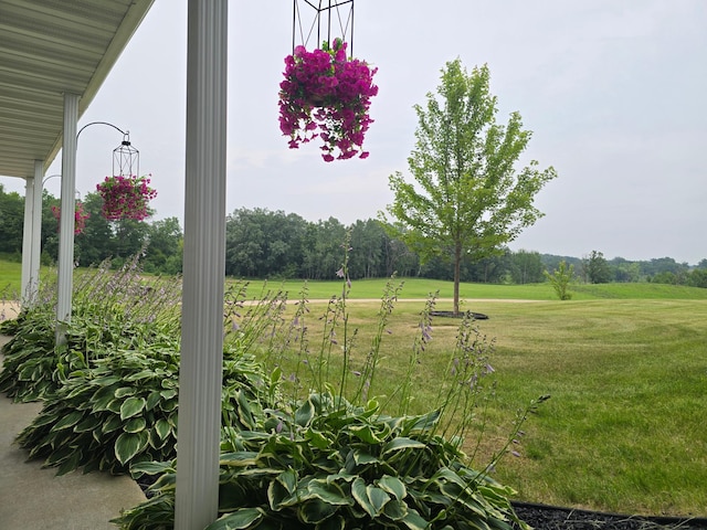 300 Old Detroit Rd, Candor Twp, MN 56587 - photo 2