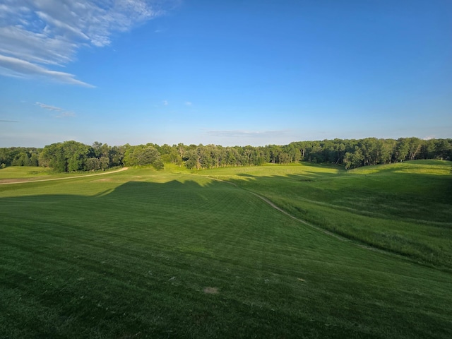 300 Old Detroit Rd, Candor Twp, MN 56587 - photo 23