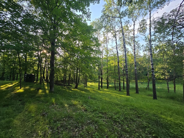 300 Old Detroit Rd, Candor Twp, MN 56587 - photo 32