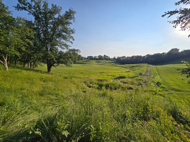 300 Old Detroit Rd, Candor Twp, MN 56587 - photo 37
