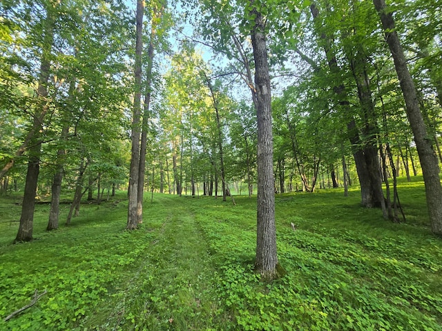 300 Old Detroit Rd, Candor Twp, MN 56587 - photo 38