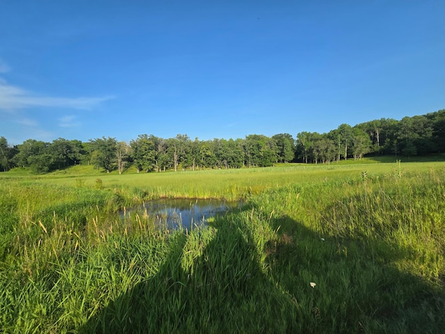 300 Old Detroit Rd, Candor Twp, MN 56587 - photo 40