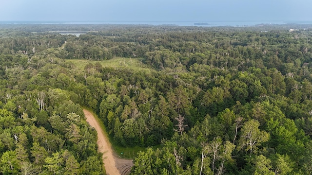 TBD Flower Trail, Breezy Point, MN 56472 - photo 1