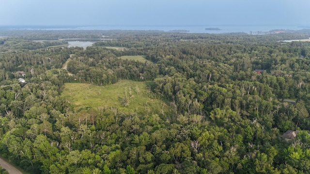 TBD Flower Trail, Breezy Point, MN 56472 - photo 5