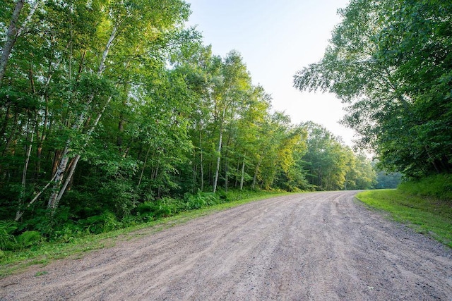 TBD Flower Trail, Breezy Point, MN 56472 - photo 12