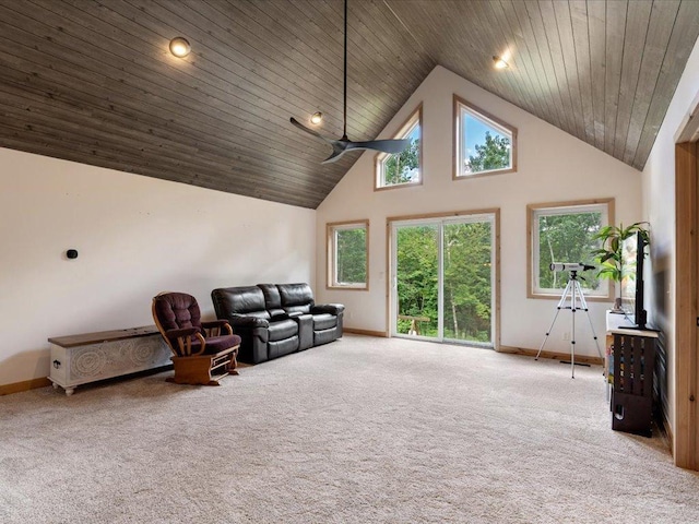 22090 Bluegill Rd, Irondale Twp, MN 56455 - photo 20