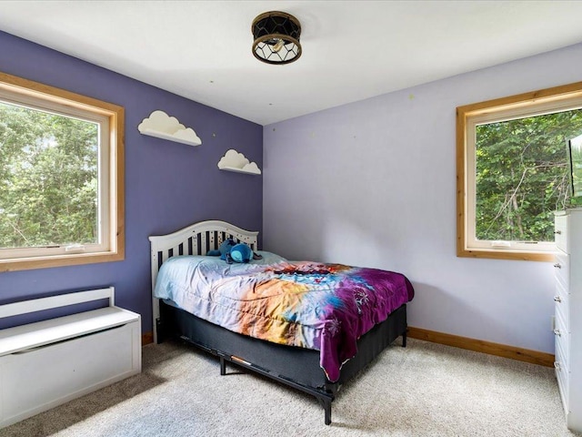 22090 Bluegill Rd, Irondale Twp, MN 56455 - photo 22