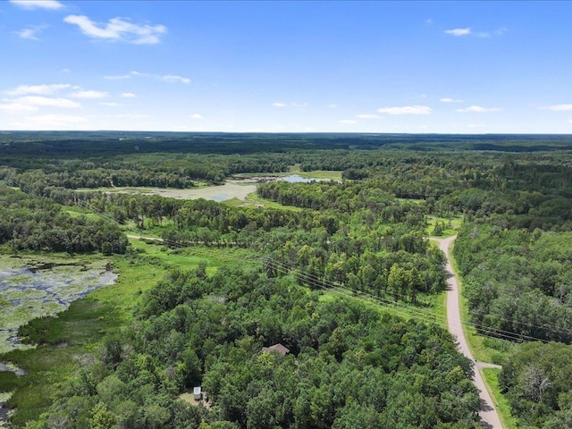 22090 Bluegill Rd, Irondale Twp, MN 56455 - photo 29