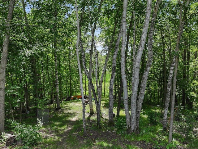 22090 Bluegill Rd, Irondale Twp, MN 56455 - photo 30
