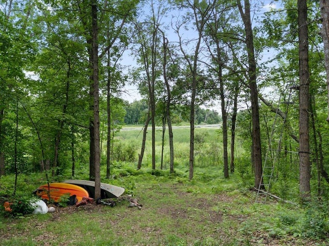 22090 Bluegill Rd, Irondale Twp, MN 56455 - photo 36