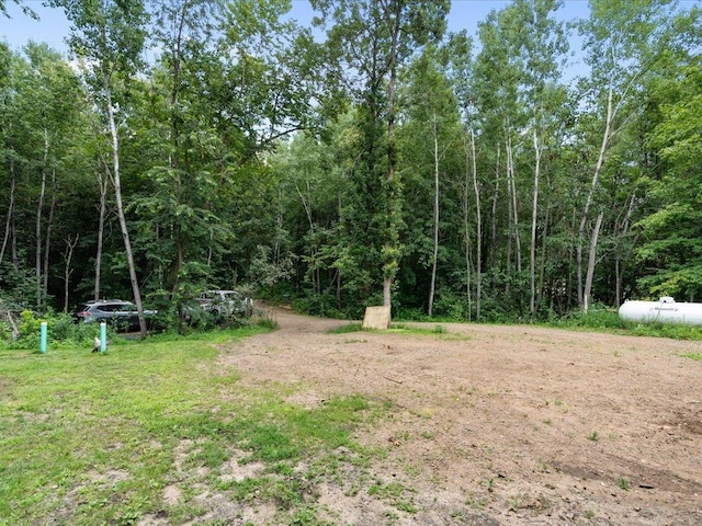 22090 Bluegill Rd, Irondale Twp, MN 56455 - photo 38