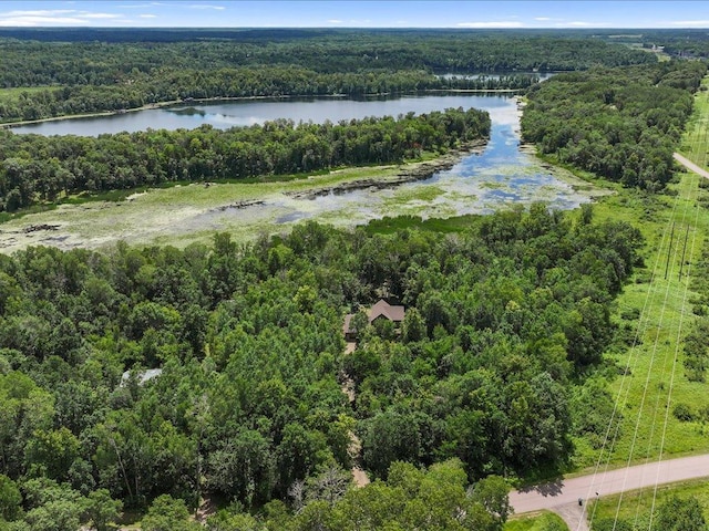 22090 Bluegill Rd, Irondale Twp, MN 56455 - photo 42