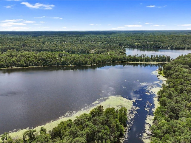 22090 Bluegill Rd, Irondale Twp, MN 56455 - photo 45