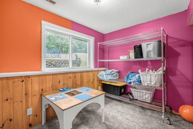 6393 377th St N, North Branch, MN 55056 - photo 12
