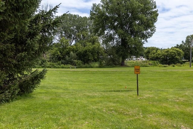 412 Bluff, Preston, MN 55965 - photo 59