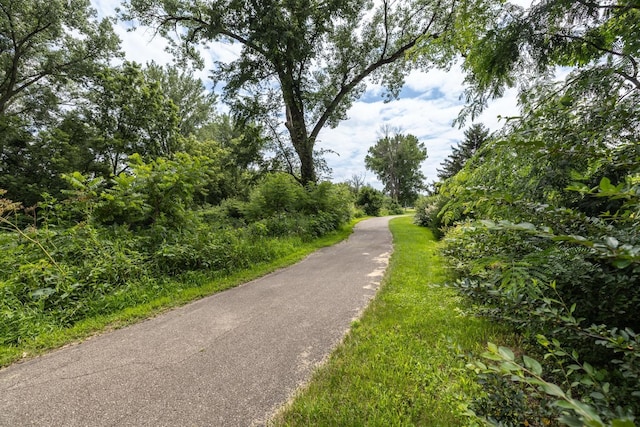 412 Bluff, Preston, MN 55965 - photo 61