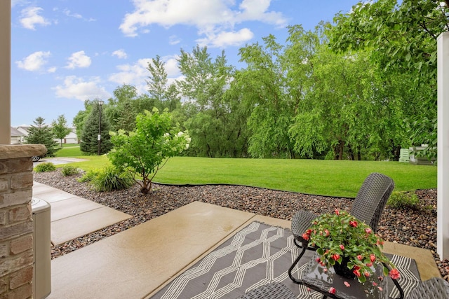 17806 Elm Rd N, Maple Grove, MN 55311 - photo 5