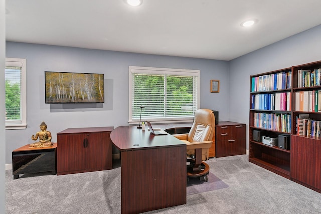 6150 Park Ave, Minneapolis, MN 55417 - photo 30