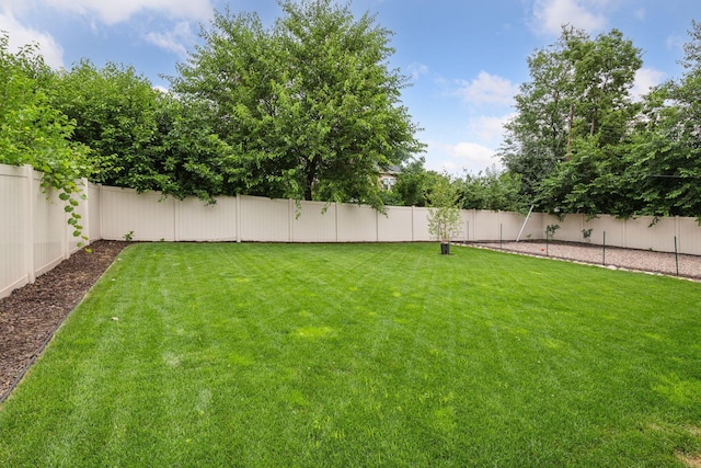 6150 Park Ave, Minneapolis, MN 55417 - photo 44