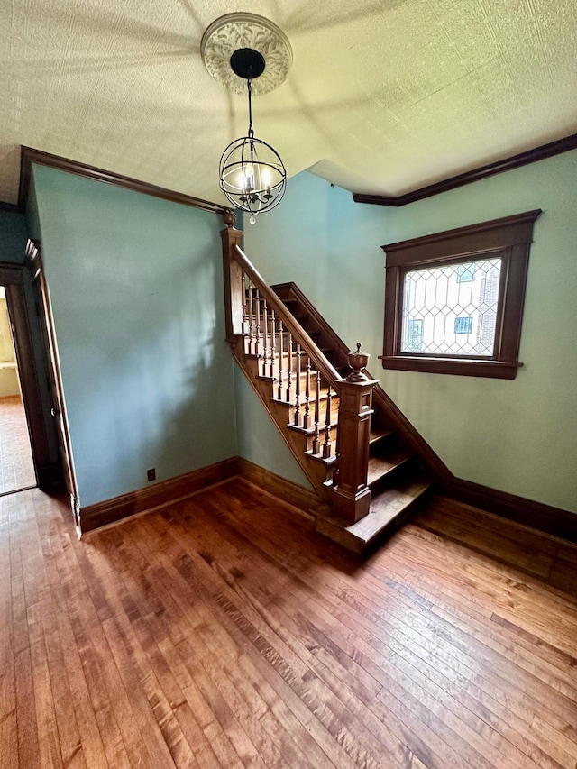 507 Redwood St, Marshall, MN 56258 - photo 6