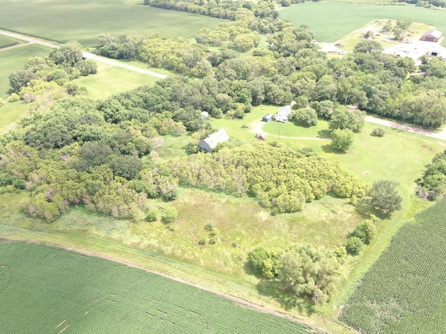 11316 County Highway 7, Revere, MN 56166 - photo 30