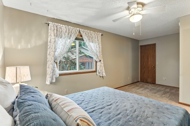 11641 Colorado Ave N, Champlin, MN 55316 - photo 19