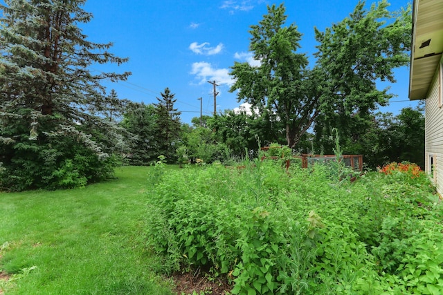 11641 Colorado Ave N, Champlin, MN 55316 - photo 31