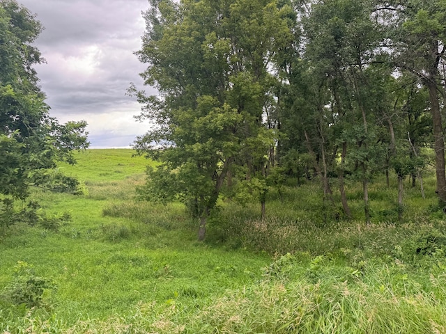 16642 Lake Elizabeth Pass, Gennessee Twp, MN 56209 - photo 4