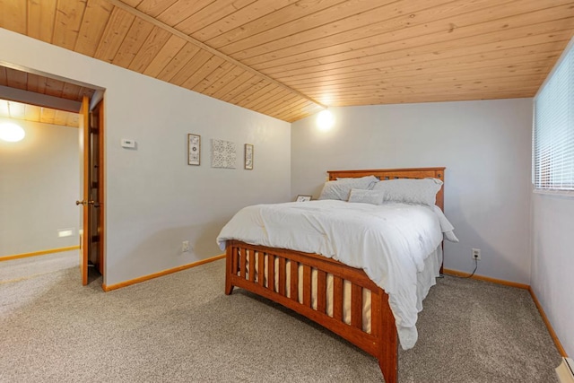 633 11th St SE, Owatonna, MN 55060 - photo 29