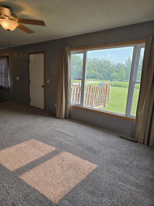13172 180th St NE, North Twp, MN 56701 - photo 3