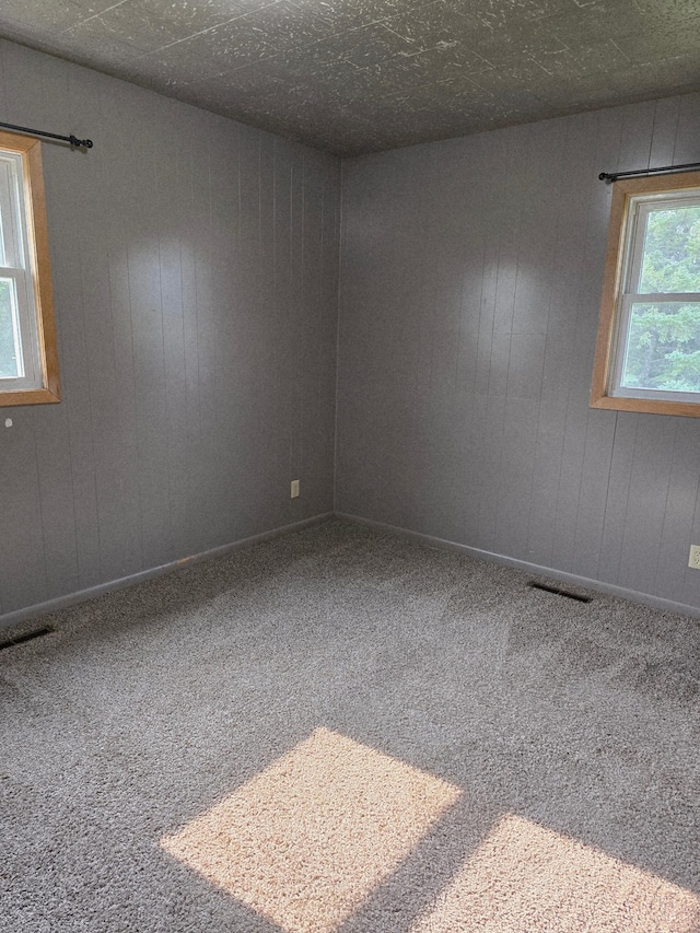 13172 180th St NE, North Twp, MN 56701 - photo 9