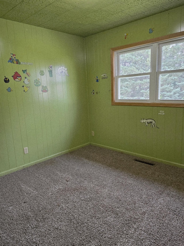 13172 180th St NE, North Twp, MN 56701 - photo 13