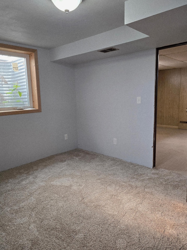 13172 180th St NE, North Twp, MN 56701 - photo 22
