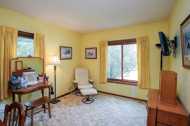 545 Grove St SW, Hutchinson, MN 55350 - photo 9