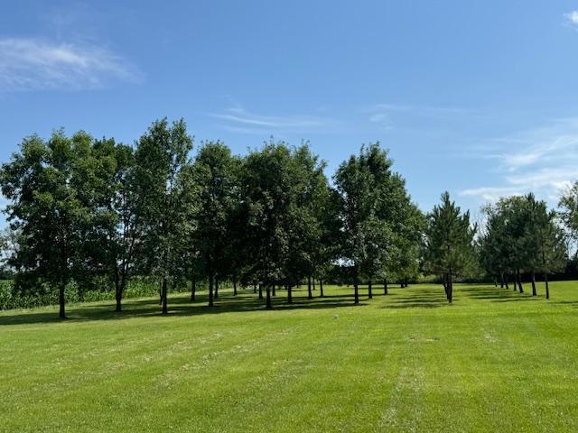 44554 County 11, Germania Twp, MN 56437 - photo 32