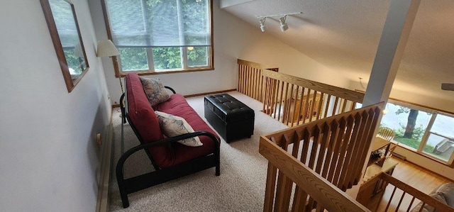 31819 Mallard Dr, Dora Twp, MN 56587 - photo 19