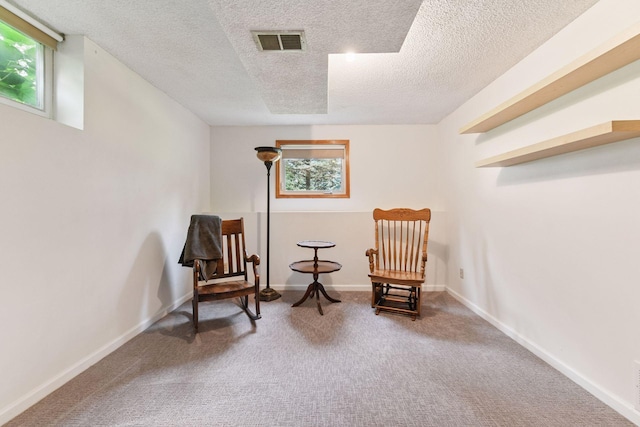 3750 35th St SE, Rockford Twp, MN 55328 - photo 42