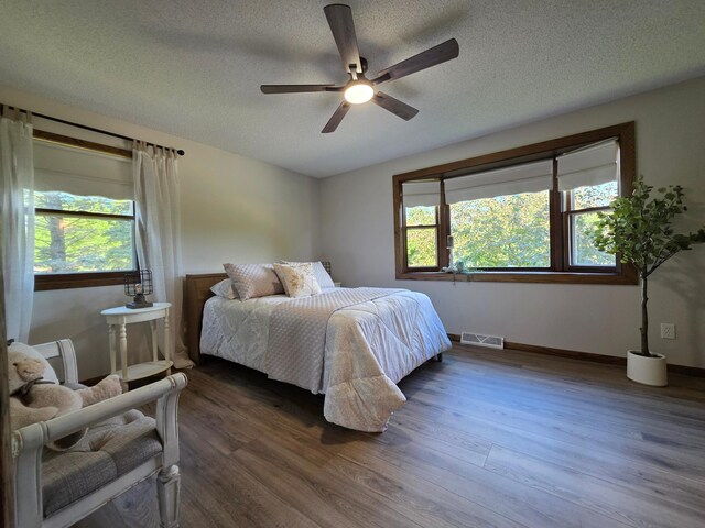7409 Isaak Ave NW, Annandale, MN 55302 - photo 21