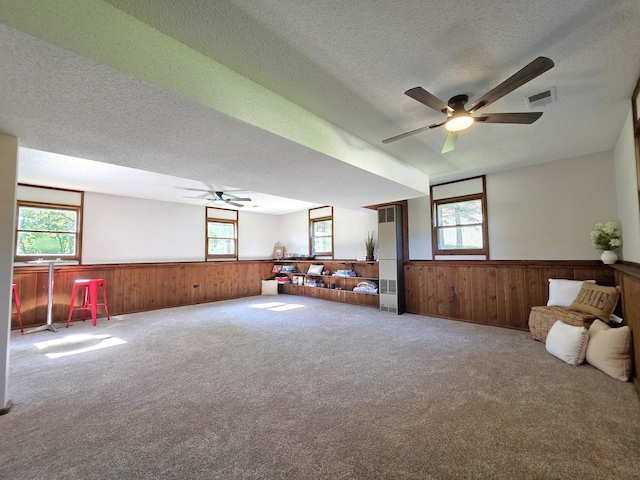 7409 Isaak Ave NW, Annandale, MN 55302 - photo 33