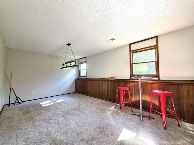 7409 Isaak Ave NW, Annandale, MN 55302 - photo 34