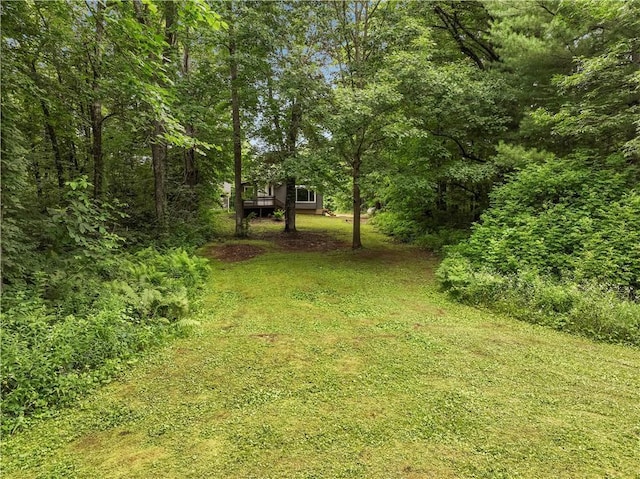 N2204 County Rd E, Bruce, WI 54819 - photo 23