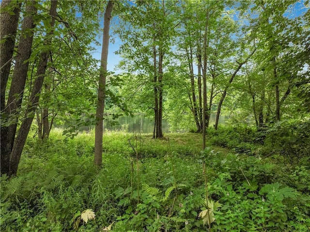 N2204 County Rd E, Bruce, WI 54819 - photo 24