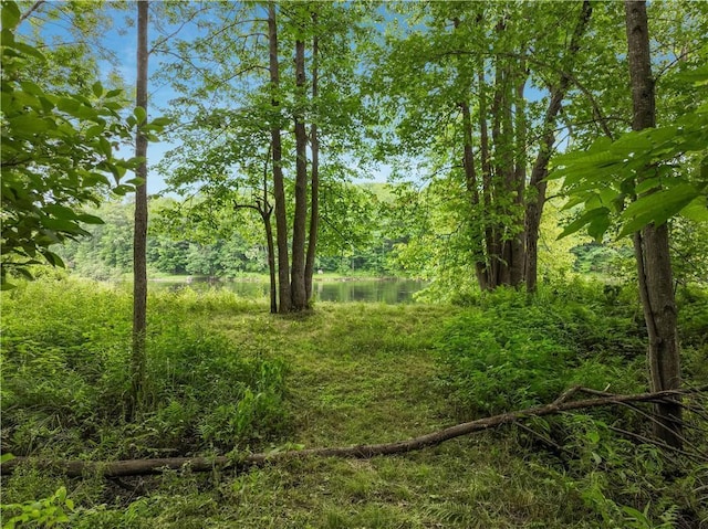 N2204 County Rd E, Bruce, WI 54819 - photo 26