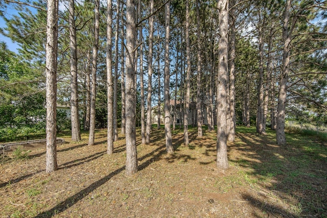 6580 153rd Way NW, Ramsey, MN 55303 - photo 45