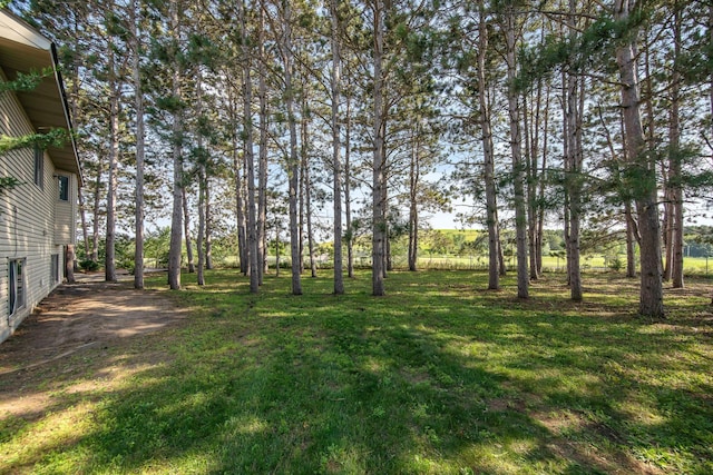 6580 153rd Way NW, Ramsey, MN 55303 - photo 46